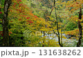 佔冠二仁的紅葉與溪谷風光－北海道秋季的自然美景 131638262