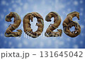 2025 inscription consisting of snakes turns into the inscription 2026 formed of horses. Transition Of Years Through Zodiac Animal Metamorphosis. The end of old year and beginning of new year concept 131645042