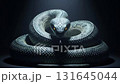 Snake transforms into horse on dark background. The end of 2025 and beginning of 2026 new year concept. Symbolic Metamorphosis Signifies Changing Zodiac Signs For Upcoming Celebration 131645044