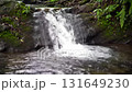 Serene waterfall flowing over mossy rocks in a lush green tropical forest stream 131649230