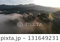 Golden light over misty mountain peaks and lush forest at sunrise, serene natural landscape 131649231
