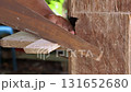 Woodworker using handsaw outdoors, precise manual cutting showing craftsmanship 131652680