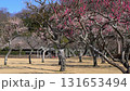 Plum trees and old houses in Shonan Shinrin Park 131653494