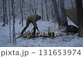 Building a fire in a snowy forest during winter camping adventure 131653974