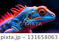 Brightly colored lizard displays vivid patterns and textures in close-up view at a natural habitat 131658063