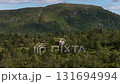 Traditional norwegian cabin with a turf roof sits in beautiful mountain landscape 131694994