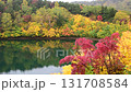 Suganuma 131708584