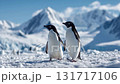 Two Adélie penguins walk on the snow-covered ground in Antarctica with mountains in the background during clear weather 131717106