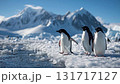 Three penguins standing on ice near a mountain range in Antarctica under a clear blue sky 131717127