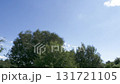 Beautiful timelapse of clouds and trees on a sunny day in the countryside with the camera panning left 131721105