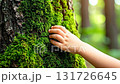 Child's hand caressing a mossy tree as a sign of protection. Ecology, sustainability, and the environment concept 131726645