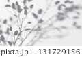 Abstract shadow tree branch on wind background, looped animation 131729156
