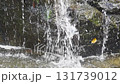 滝　アップ 131739012