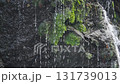 滝と苔　クローズアップ 131739013