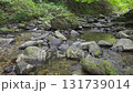 渓流　フィックス 131739014