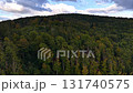 Stunning aerial footage beautifully showcasing a vibrant and lush forest filled with diverse trees and scenic hills 131740575