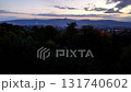 A beautiful sunset casts warm light over a vibrant city, blending lush trees and urban life in harmony 131740602