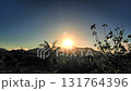 Sunrise over Ishigaki Island, lined with banana and palm trees Sunrise over Ishigaki Island, lined with banana and palm trees 131764396