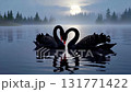Two majestic black swans with red beaks forming a heart shape on a misty lake at twilight, with a full moon and silhouetted pine trees in the serene background 131771422