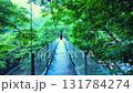 西澤溪谷吊橋 131784274