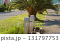 Spring water from tap among tall palms in Montenegro spot for free drinking water collection 131797753