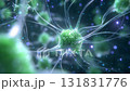 Dynamic display of neuronal networks transmitting information 131831776
