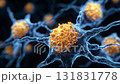 High-resolution display of the internal structure of neuronal cells 131831778