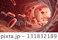 Red blood cells and white blood cells flow through blood vessel human body, carrying oxygen and nutrient, showing detailed medical illustration of circulation, healthy cell movement, and oxygen 131832189