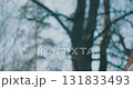woman hugging a tree 131833493