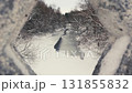Frozen River and Snow-Covered Forest Under Cloudy Winter Sky 131855832
