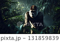 密林のゴリラ 131859839