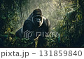 密林のゴリラ 131859840
