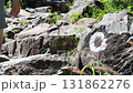 走在山行蹟的登山人 131862276