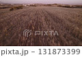 Sunset Drone Journey Over Fields and Mountainous Terrain in Lefkosa, Northern Cyprus 131873399