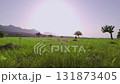 Above the Hills: Aerial Drone Footage of a Grassy Field on a Sunny Day, Arapkoy, Girne, Cyprus - 20 Jun 2024 131873405