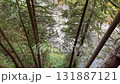 加拿大溫哥華山區河流潺潺流水 131887121