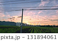 View of the setting sun behind mountain silhouette and vast farm land with the poles and power lines cutting across the sky while driving, candid daily life moment of rural life 131894061