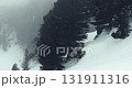 Foggy forest mountain landscape in winter snow 131911316