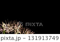 Series of consecutive extravagant fireworks spark against a dark night sky creating a celebratory atmosphere 131913749