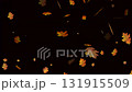 Autumn leaves falling with green screen background 131915509