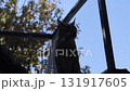 Large Lynxes at the zoo in autumn 131917605