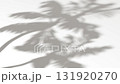 Abstract shadow palm tree on wind sunshine background, looped animation 131920270