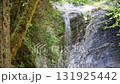 Ammonite falls, Vancouver island, Canada  131925442