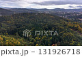 Stunning aerial footage capturing a dense forest during autumn with vibrant foliage and scenic hills. 131926718
