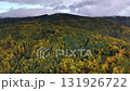 A stunning aerial view showcasing a vibrant and colorful autumn forest landscape filled with rolling hills 131926722