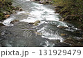 秋の観光名所上高地の森と河川の風景 131929479