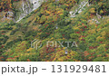 観光名所立山黒部アルペンルートのロープウェイと秋の山の紅葉の風景 131929481