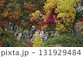 観光名所立山黒部アルペンルートの秋の山の紅葉の風景 131929484