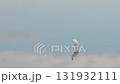 湖面で羽を休めるシラサギ 131932111