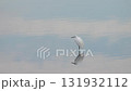 湖面で羽を休めるシラサギ 131932112